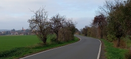 491.jpg