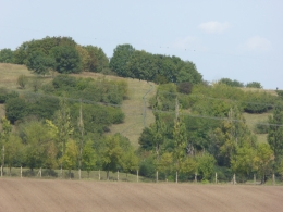 4912.JPG